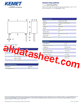 R46KF3100JMP0K型号图片