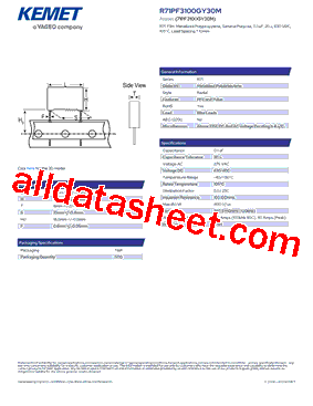 R71PF3100GY30M型号图片