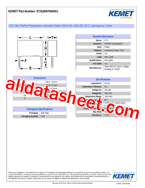 R73UI04704000J型号图片