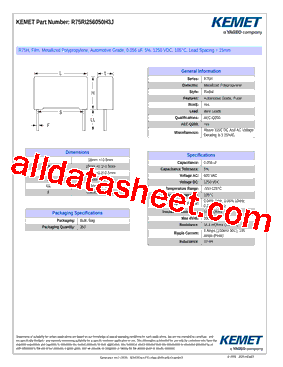 R75RI256050H3J型号图片