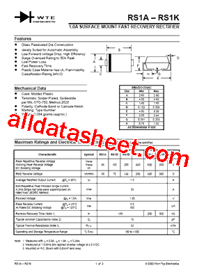 RS1D-T3型号图片