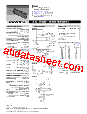 RT12C2P100型号图片