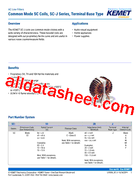 SC22-04-100J型号图片