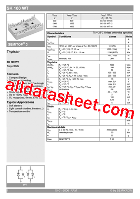 SK100WT_06型号图片