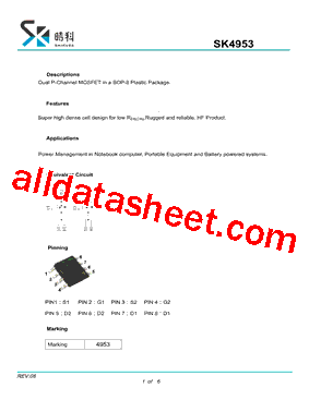 SK4953型号图片