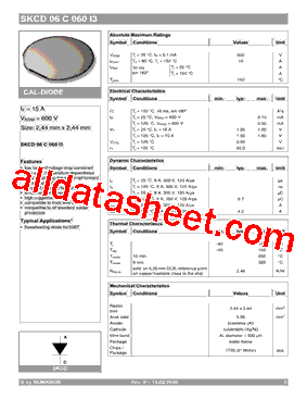 SKCD06C060I3_10型号图片