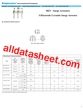 SKT-SURGE-ARRESTERS型号图片