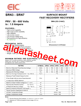 SRN6028-101M型号图片