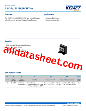 SS28V-R25080-CH型号图片