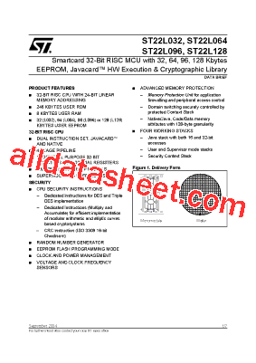 ST22L032型号图片