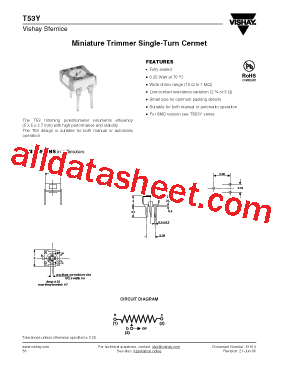 T53Y10020BO250型号图片