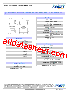 T591B107M006ATE045型号图片