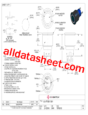 T970010型号图片