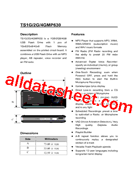 TS2GMP630型号图片