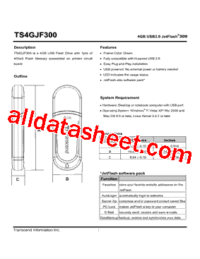 TS4GJF300型号图片