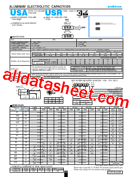 USA1A101MDD型号图片