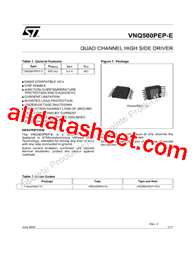 VNQ500PEP-E型号图片