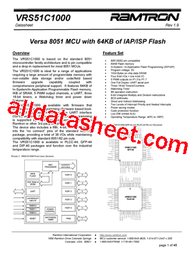 VRS51C1000-40-LG-ISPV2型号图片