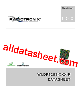 WI.DP1203-XXX-R型号图片