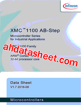 XMC1100-T038X0064型号图片